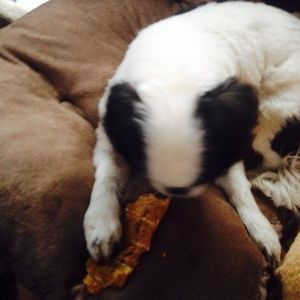 Meet your Posher, Bryant